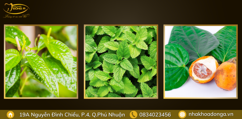 la-chua-sau-hieu-qua-tot