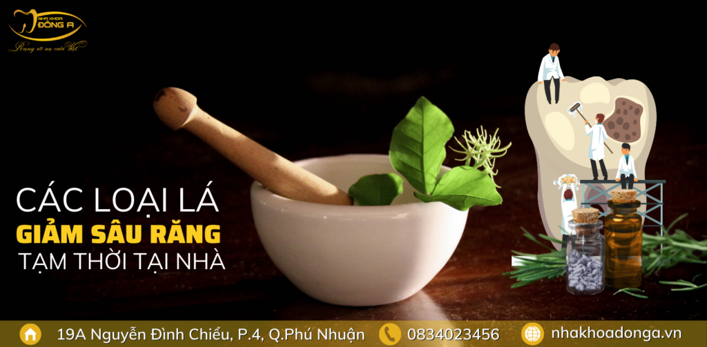 cac-loai-la-giam-sau-rang