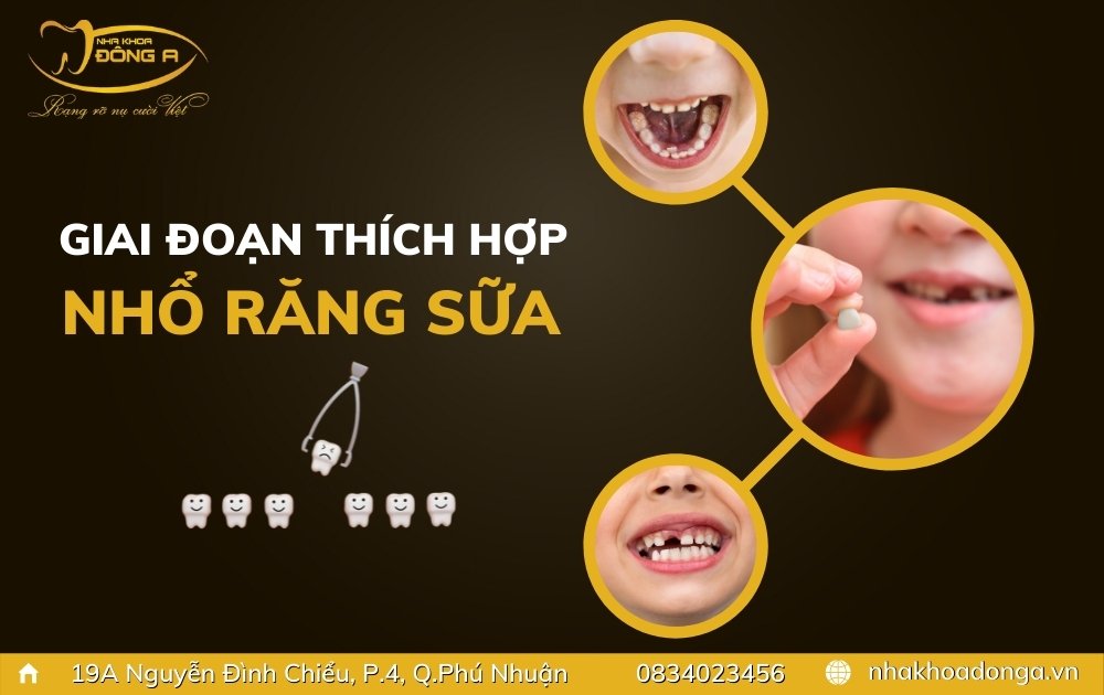 giai-doan-thich-hop-nho-rang-sua