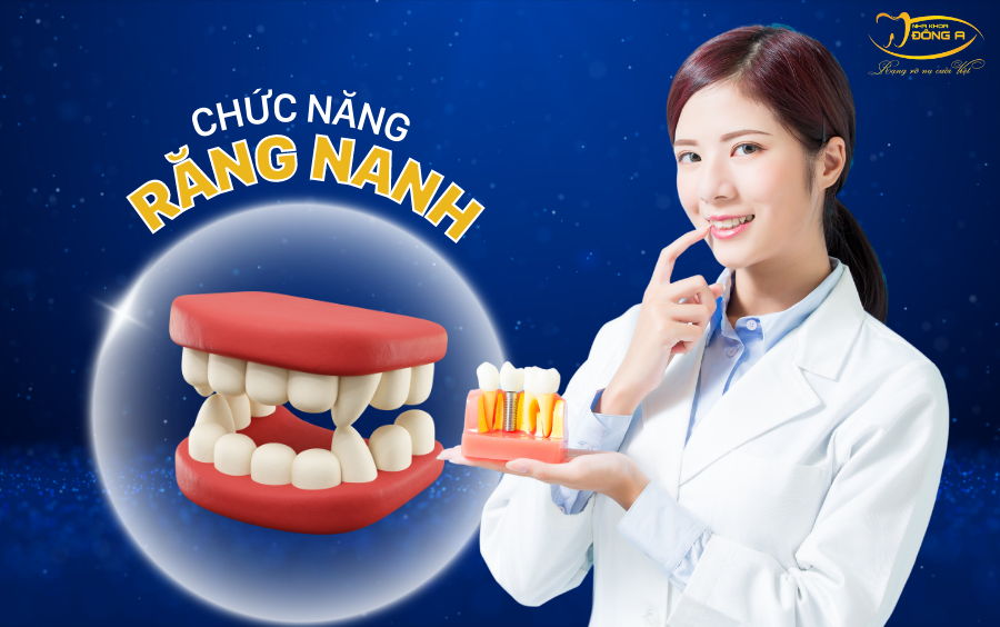 chuc-nang-cua-rang-nanh